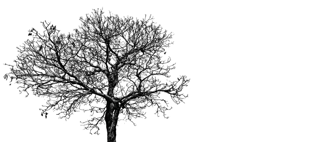 0521-Dead-Tree-650