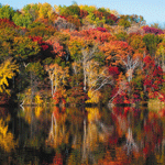 0919-Fall-Leaves-on-Lake